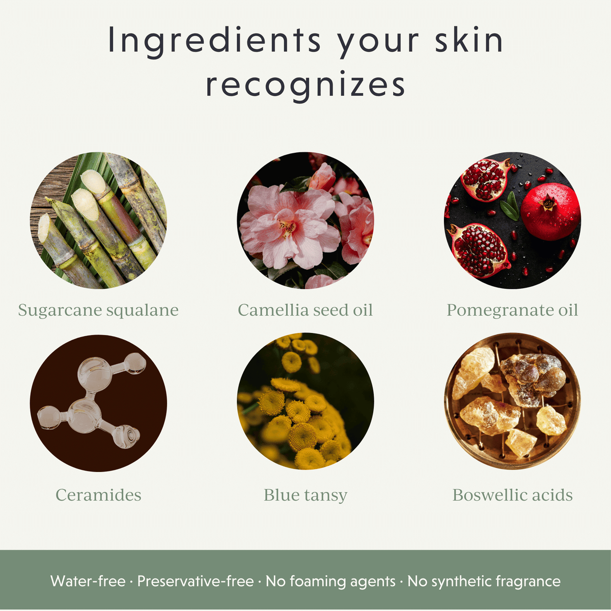 GENESI CLEANSE